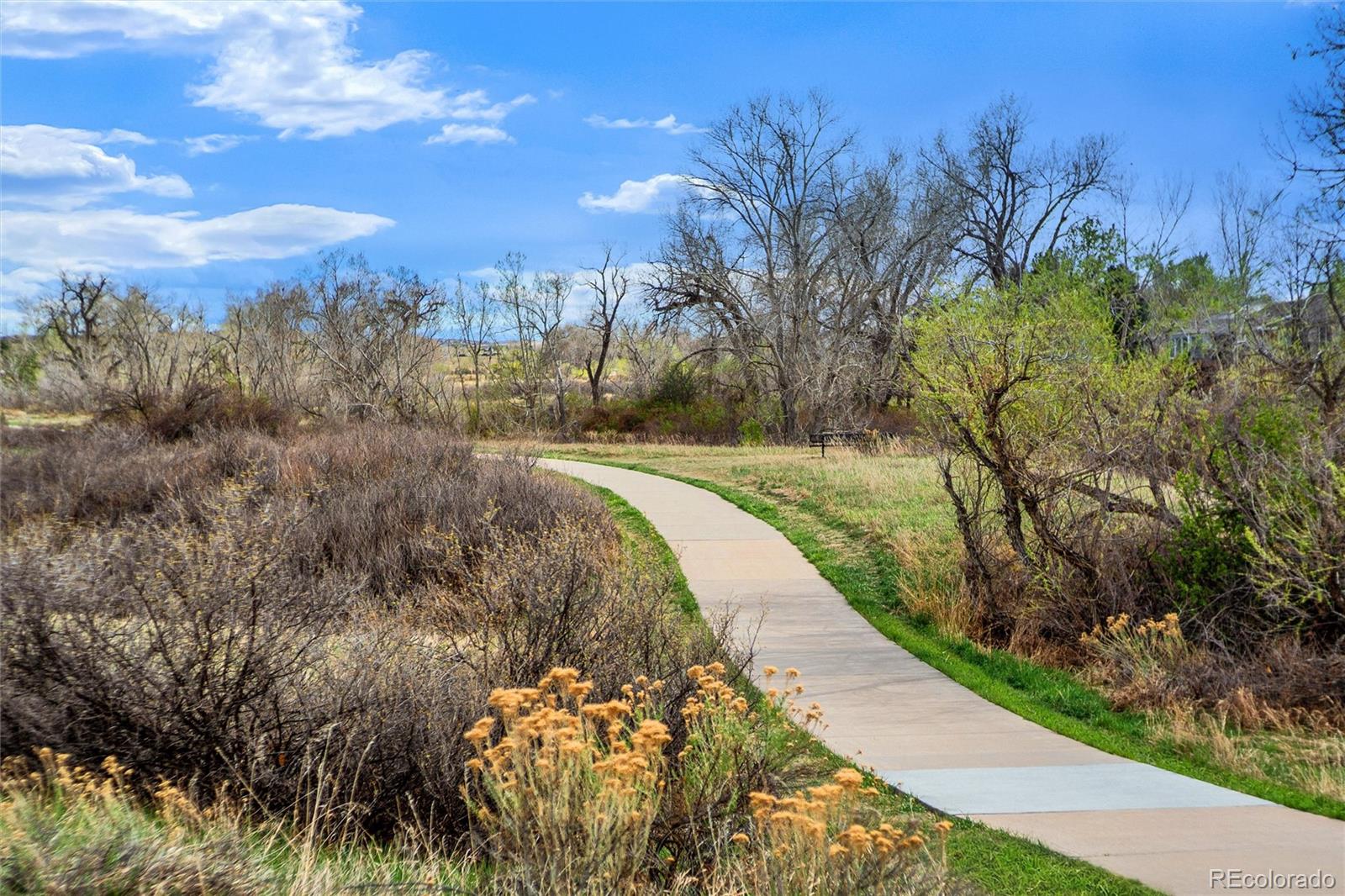 MLS Image #40 for 8926  greenspointe lane,highlands ranch, Colorado