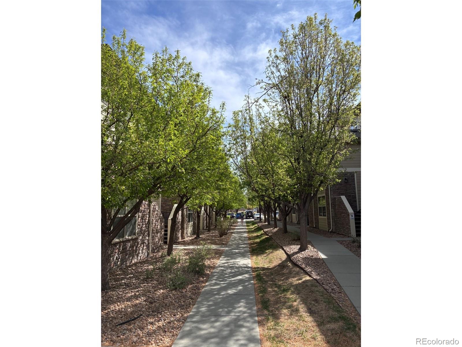 MLS Image #3 for 5800  tower road,denver, Colorado