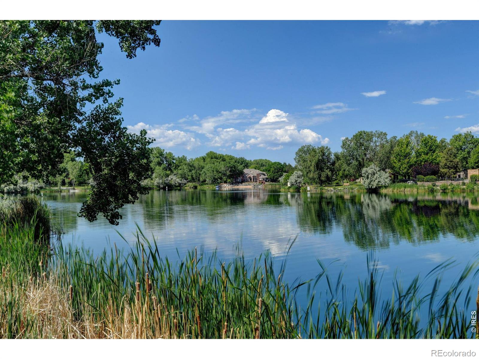 MLS Image #3 for 61  blue heron drive,thornton, Colorado