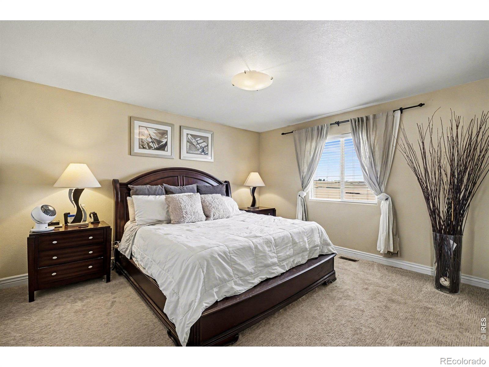 MLS Image #11 for 3660  whetstone way,mead, Colorado