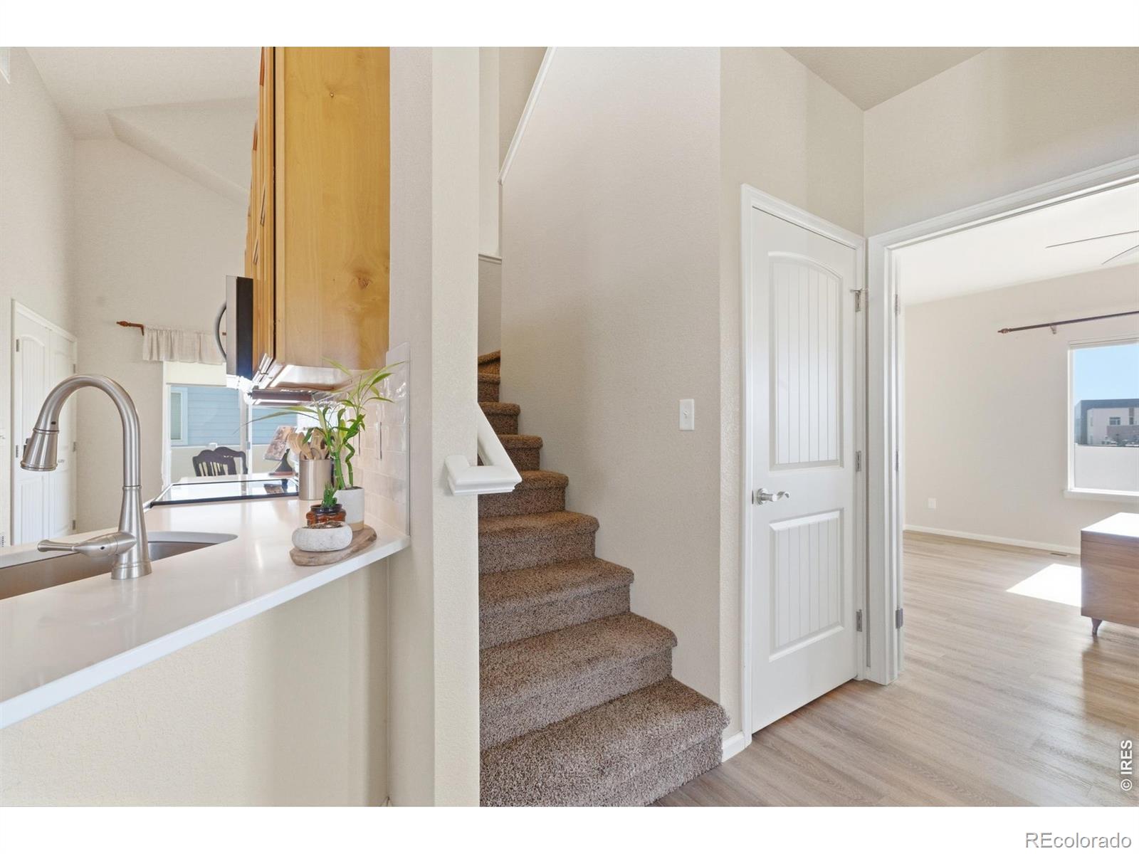 MLS Image #20 for 551  wind river drive,windsor, Colorado