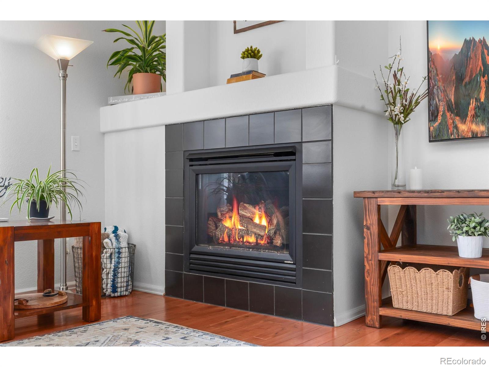 MLS Image #13 for 3214  chase drive,fort collins, Colorado