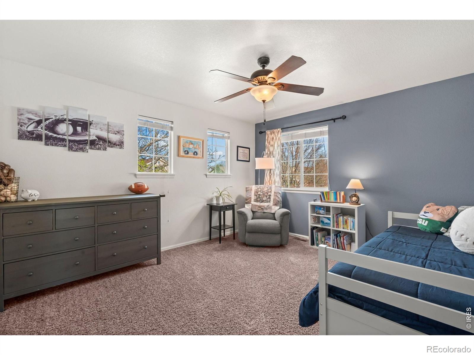 MLS Image #29 for 3214  chase drive,fort collins, Colorado