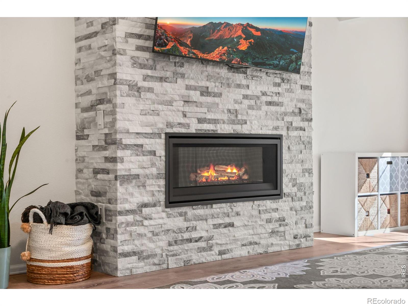 MLS Image #37 for 3214  chase drive,fort collins, Colorado