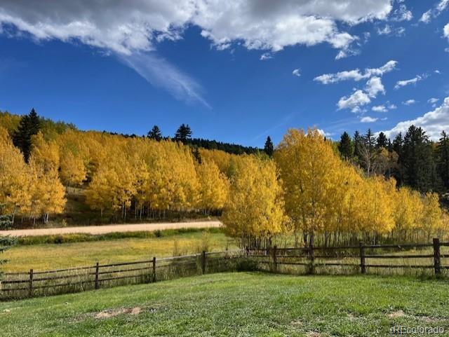 MLS Image #40 for 689  divide south ,divide, Colorado