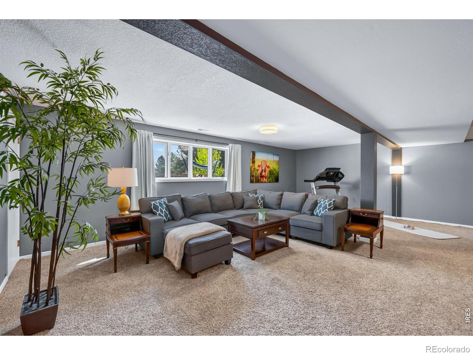 MLS Image #31 for 4312  whippeny drive,fort collins, Colorado