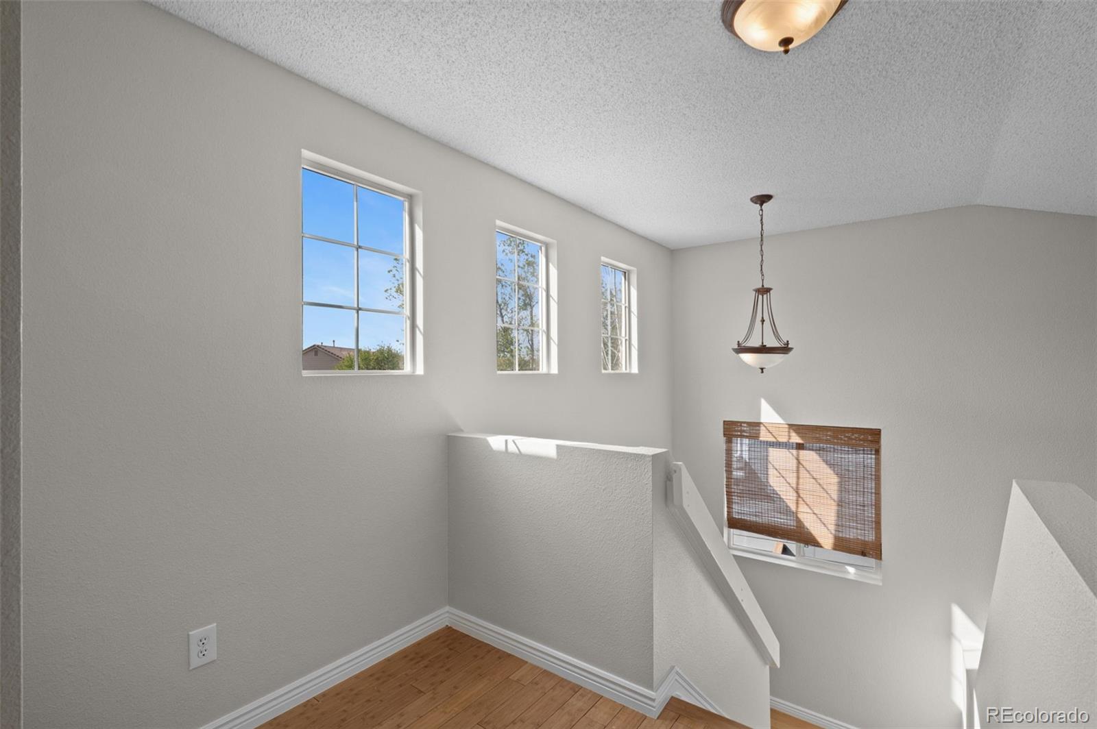 MLS Image #15 for 10054  kingston court,highlands ranch, Colorado