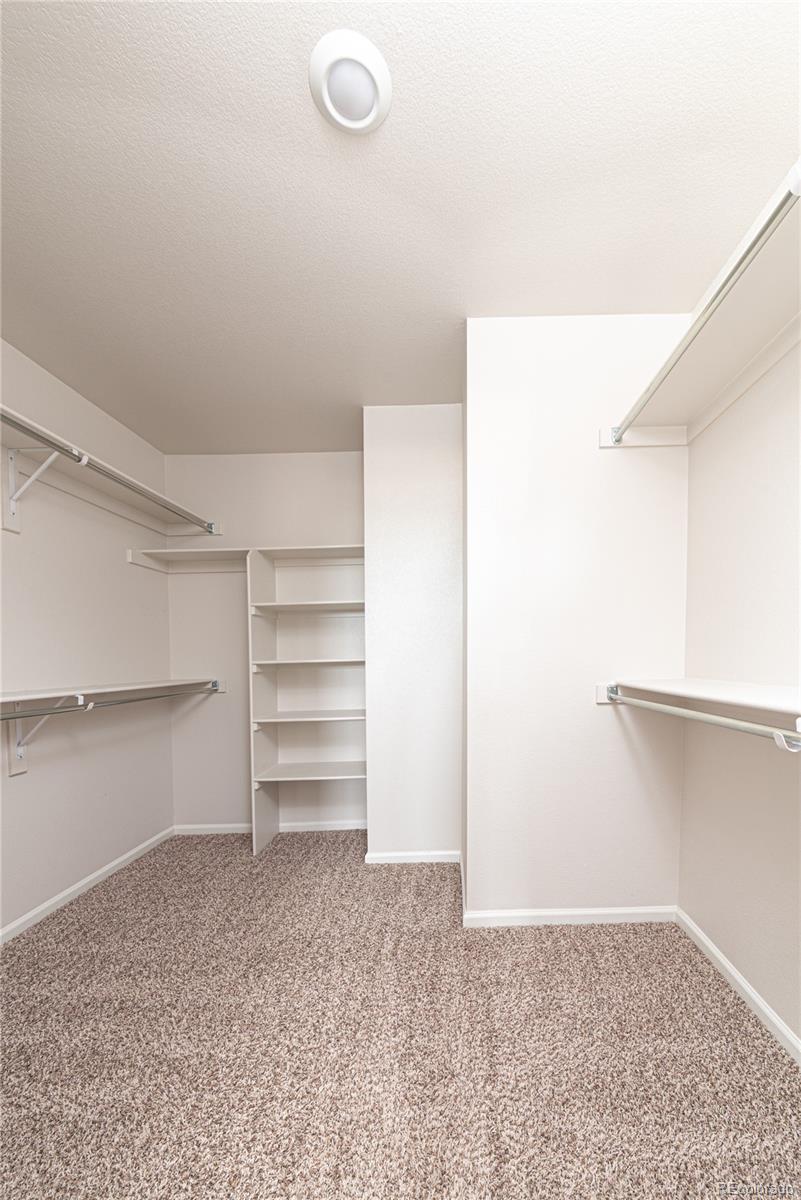 MLS Image #21 for 5934  longford way,colorado springs, Colorado