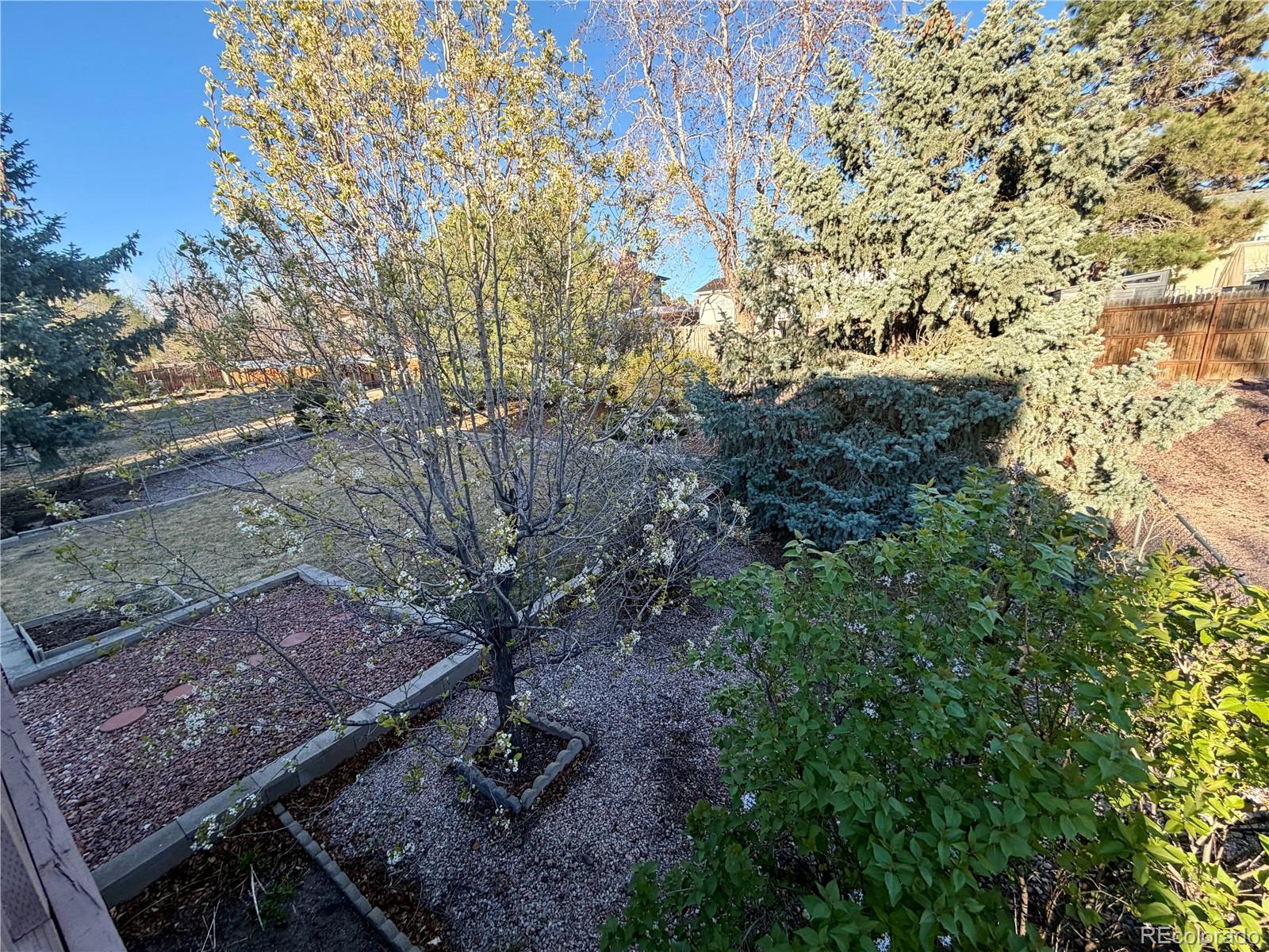 MLS Image #27 for 1527  nokomis drive,colorado springs, Colorado