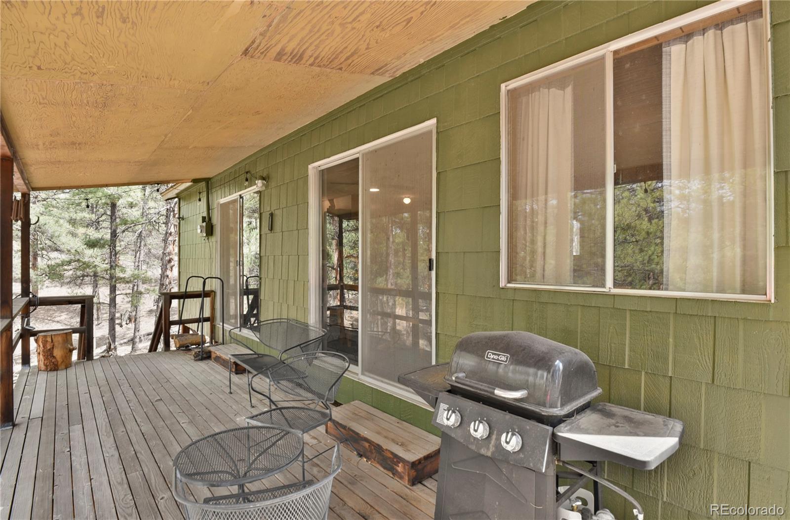 MLS Image #10 for 80  crystal lane,lake george, Colorado