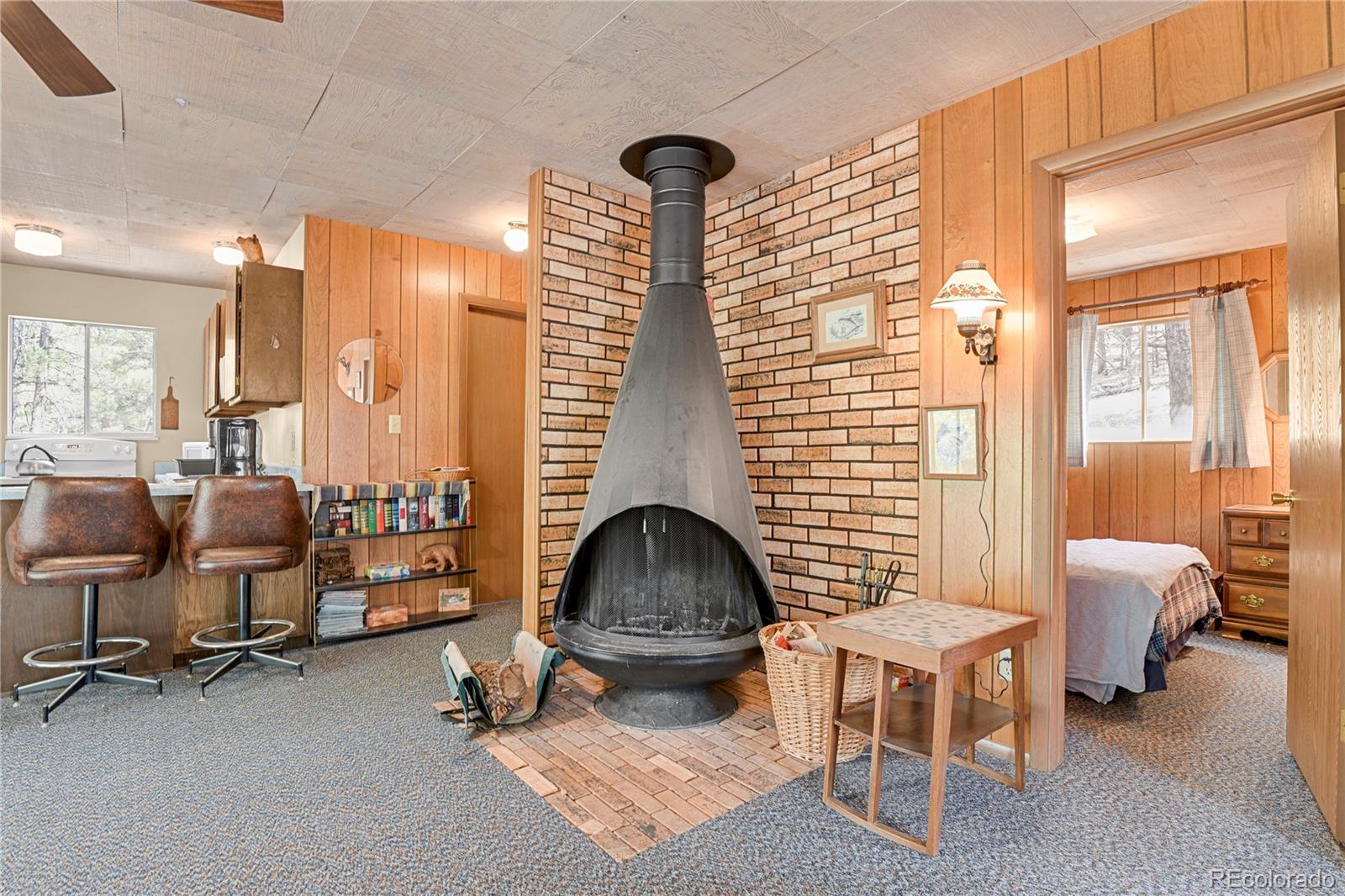 MLS Image #11 for 80  crystal lane,lake george, Colorado