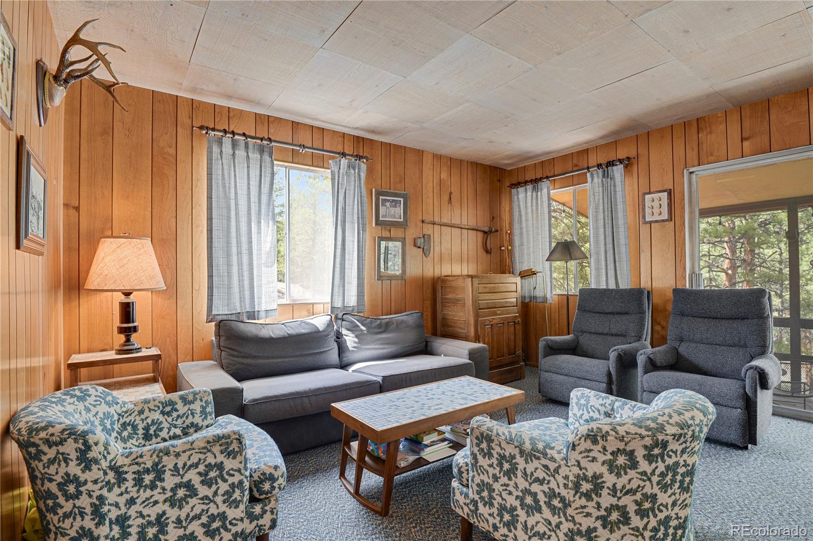 MLS Image #12 for 80  crystal lane,lake george, Colorado