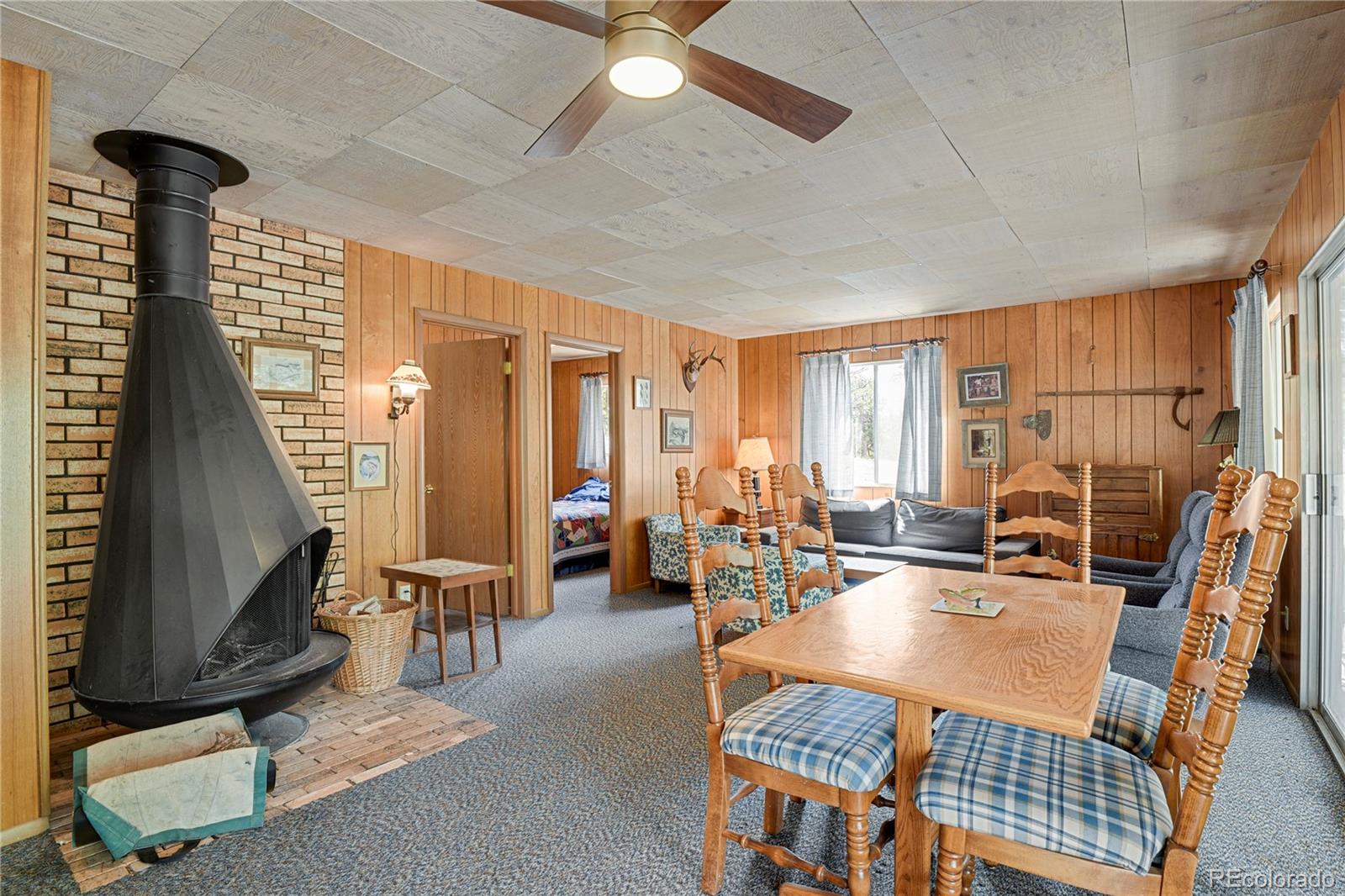 MLS Image #13 for 80  crystal lane,lake george, Colorado