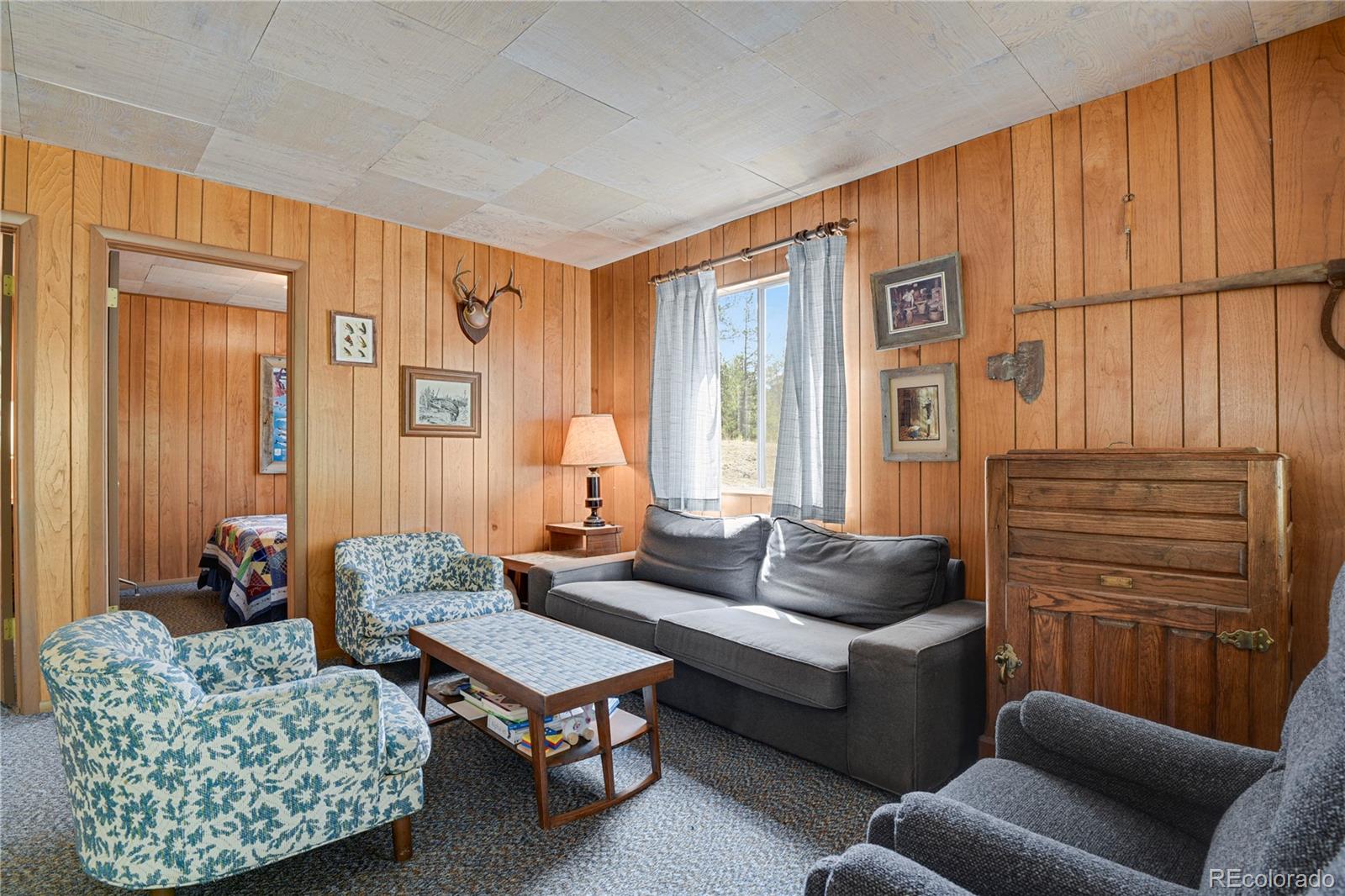 MLS Image #14 for 80  crystal lane,lake george, Colorado