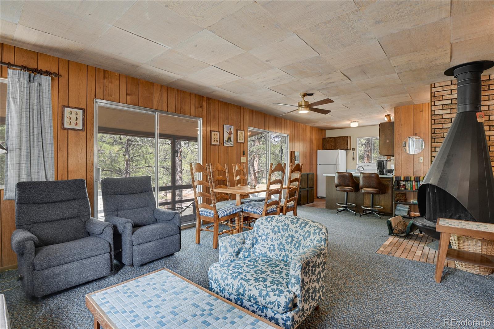 MLS Image #16 for 80  crystal lane,lake george, Colorado