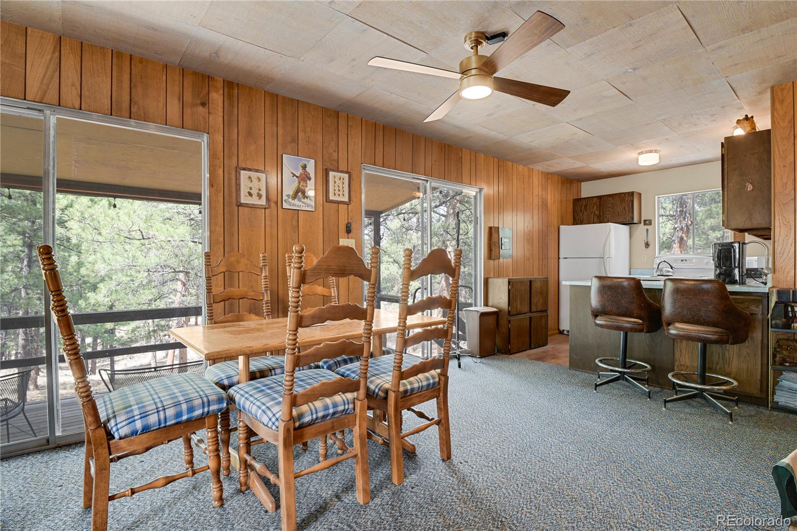 MLS Image #17 for 80  crystal lane,lake george, Colorado