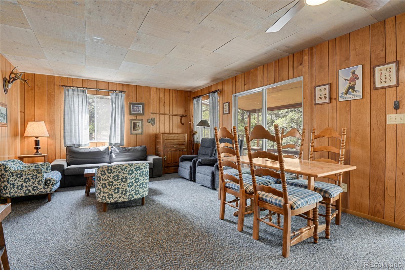 MLS Image #18 for 80  crystal lane,lake george, Colorado
