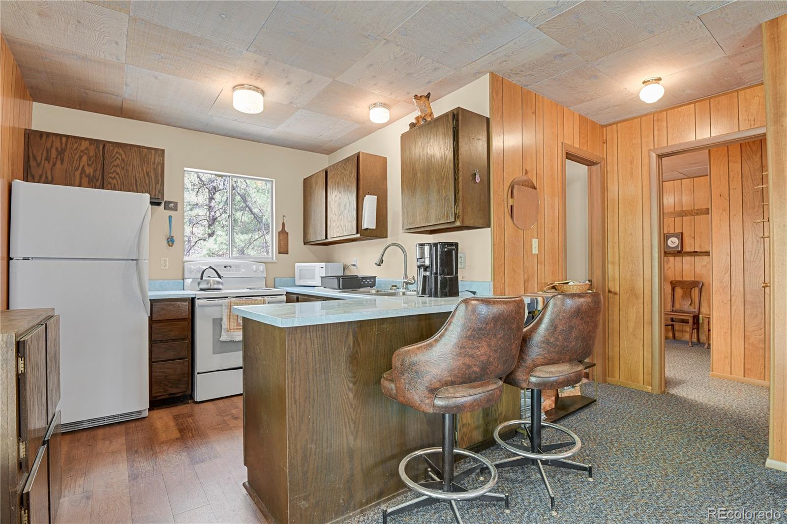 MLS Image #19 for 80  crystal lane,lake george, Colorado