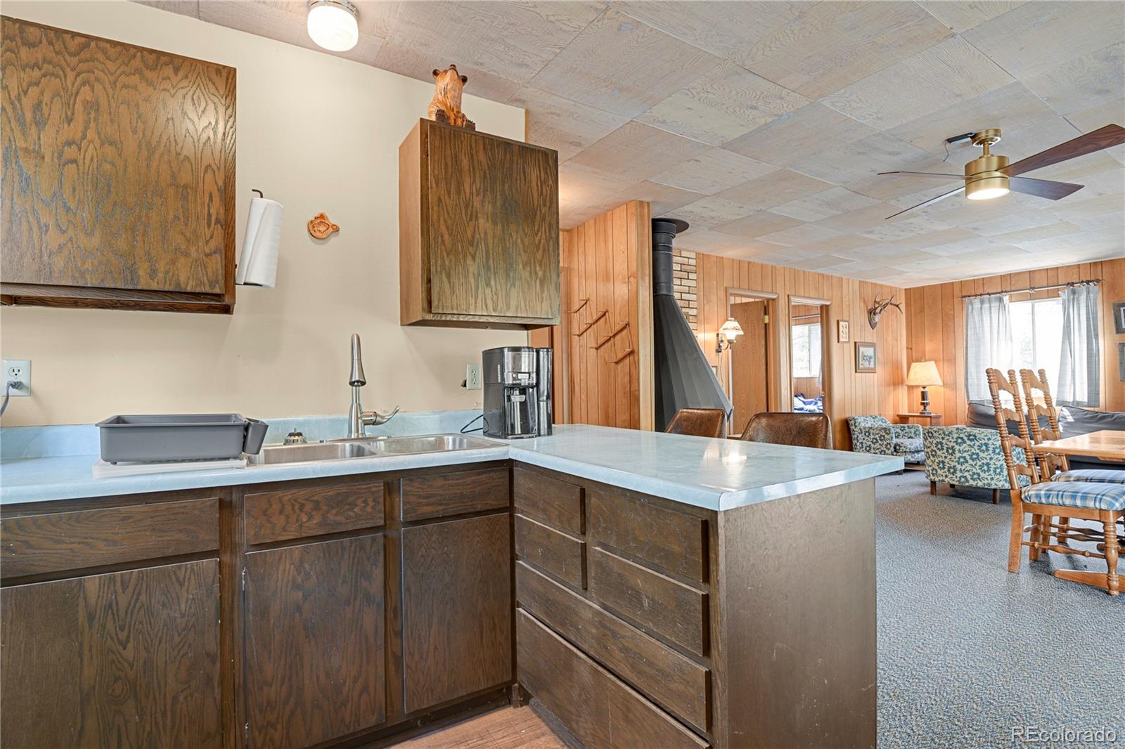 MLS Image #20 for 80  crystal lane,lake george, Colorado