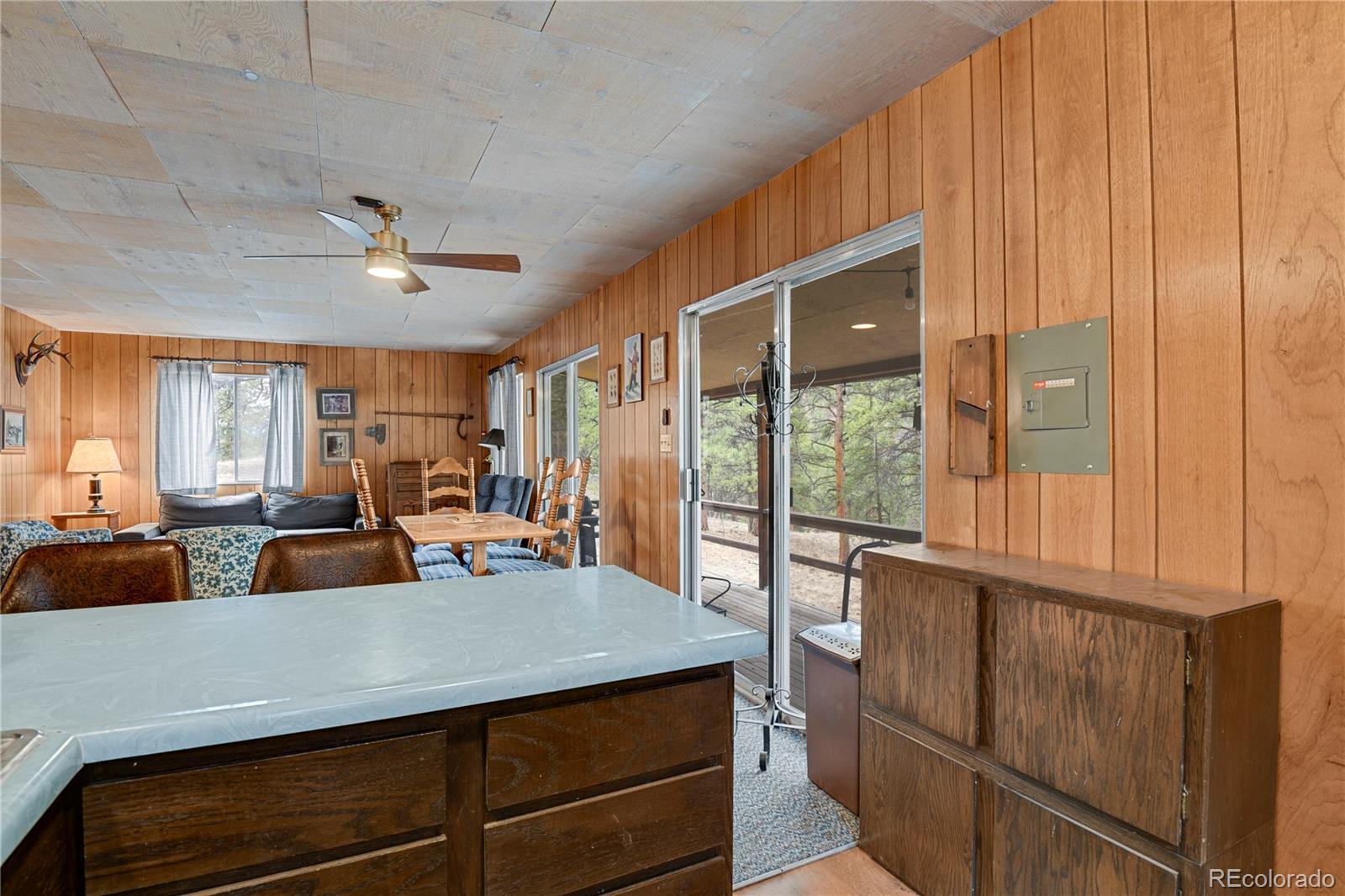 MLS Image #22 for 80  crystal lane,lake george, Colorado