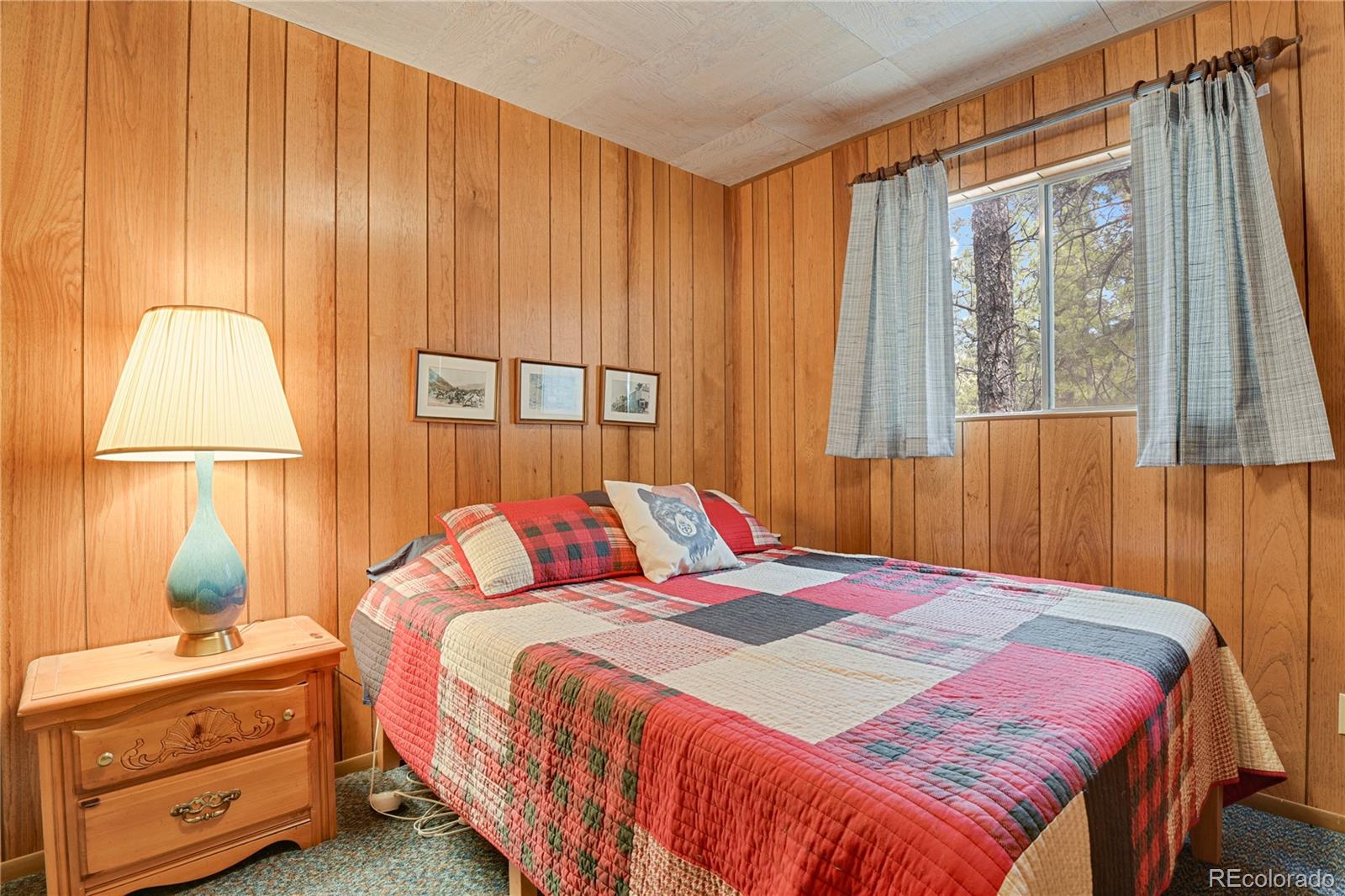 MLS Image #23 for 80  crystal lane,lake george, Colorado
