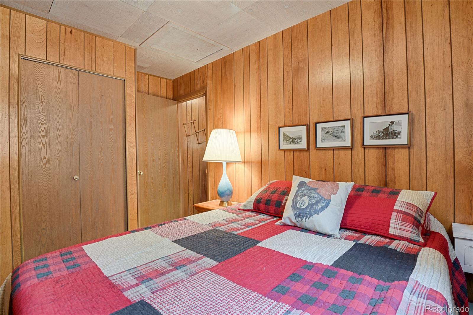MLS Image #25 for 80  crystal lane,lake george, Colorado