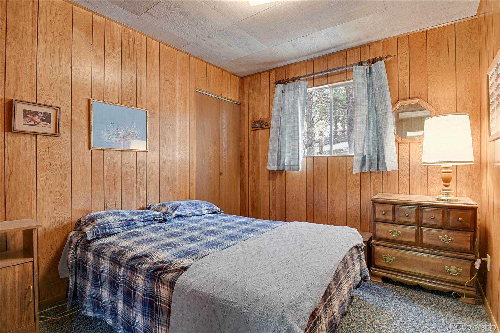MLS Image #26 for 80  crystal lane,lake george, Colorado