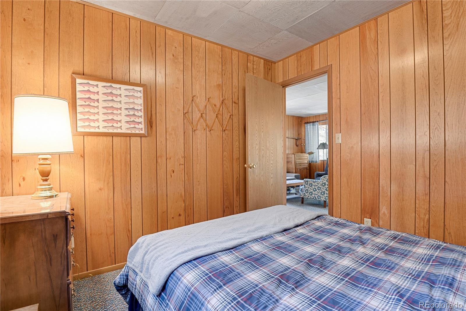 MLS Image #27 for 80  crystal lane,lake george, Colorado