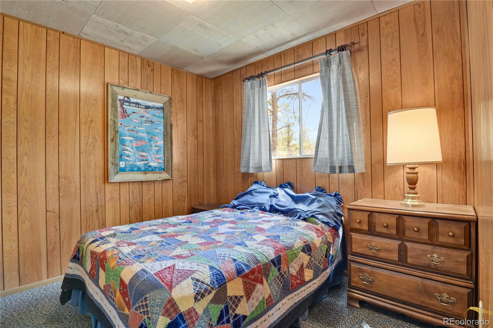 MLS Image #29 for 80  crystal lane,lake george, Colorado
