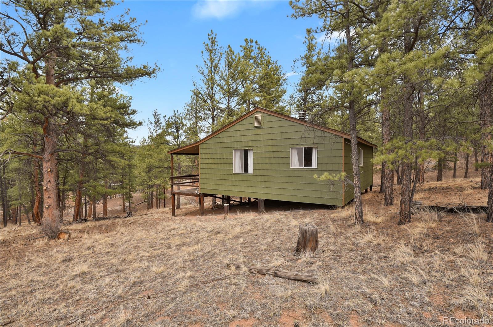 MLS Image #3 for 80  crystal lane,lake george, Colorado