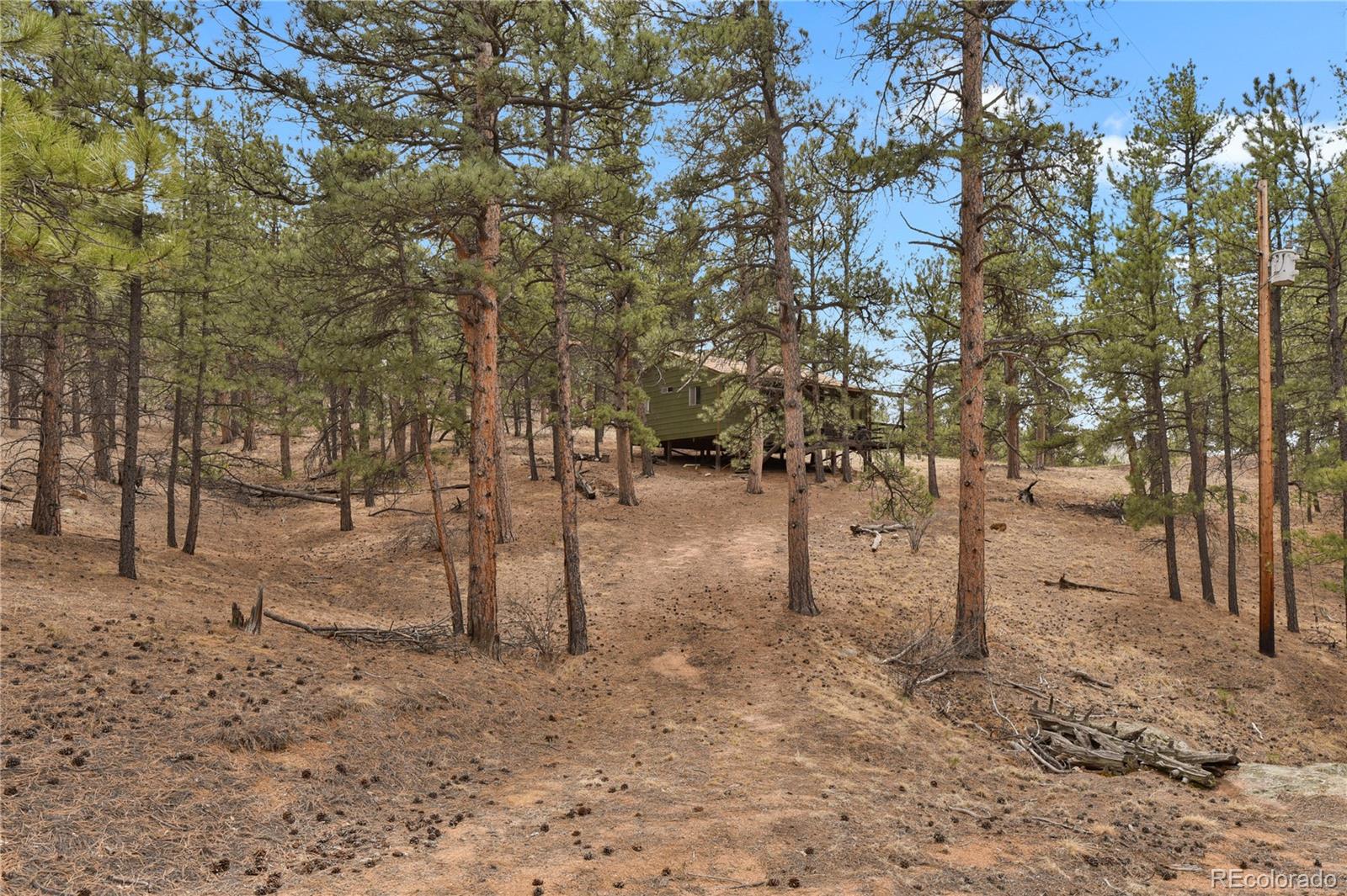 MLS Image #31 for 80  crystal lane,lake george, Colorado