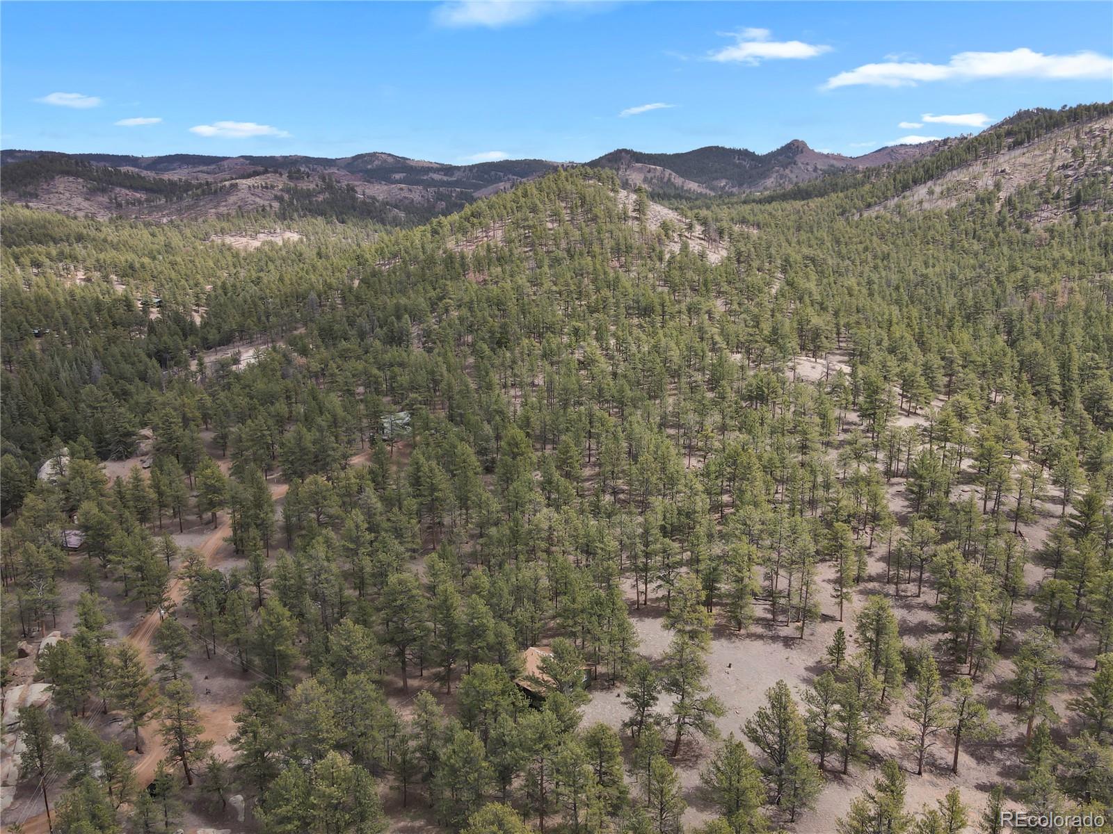 MLS Image #34 for 80  crystal lane,lake george, Colorado