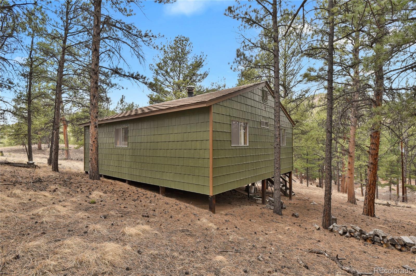 MLS Image #4 for 80  crystal lane,lake george, Colorado