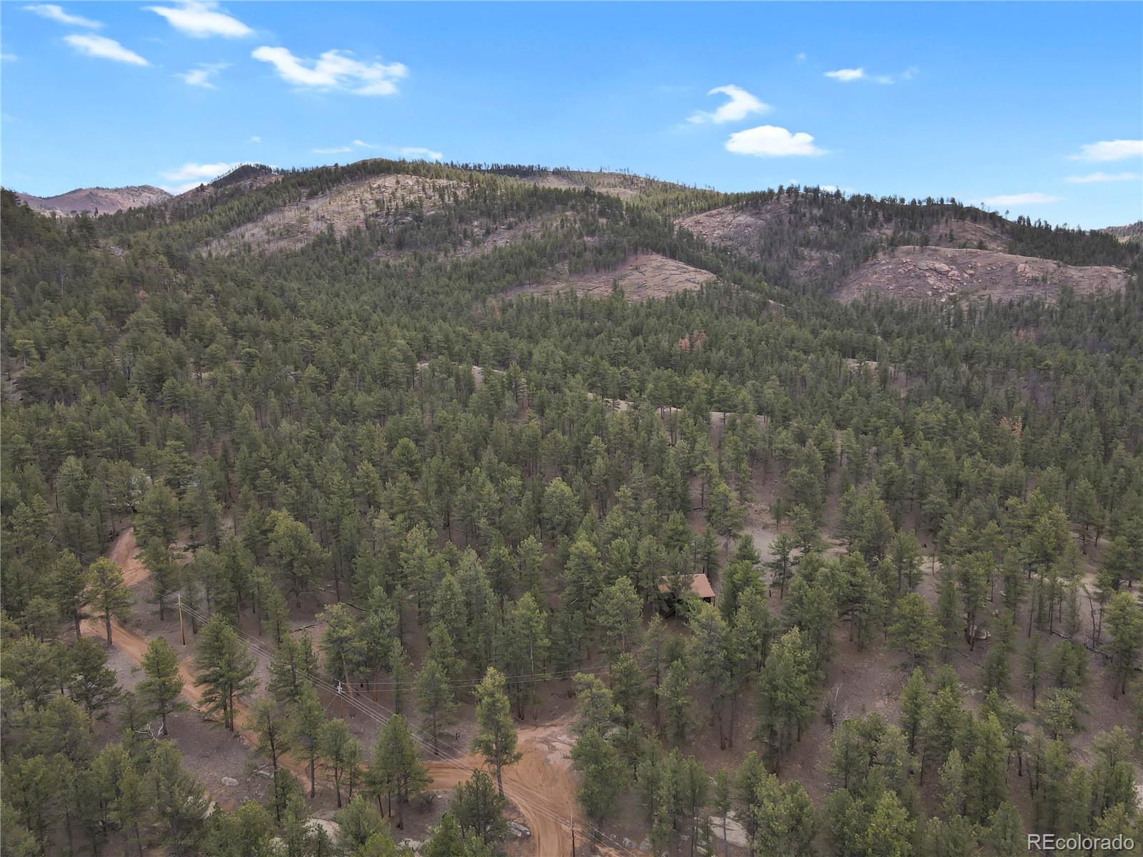 MLS Image #41 for 80  crystal lane,lake george, Colorado