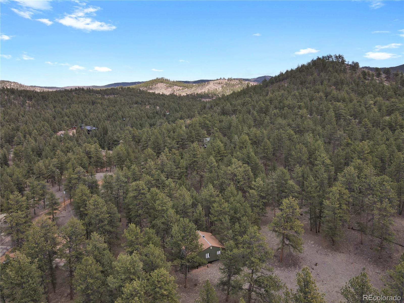 MLS Image #45 for 80  crystal lane,lake george, Colorado