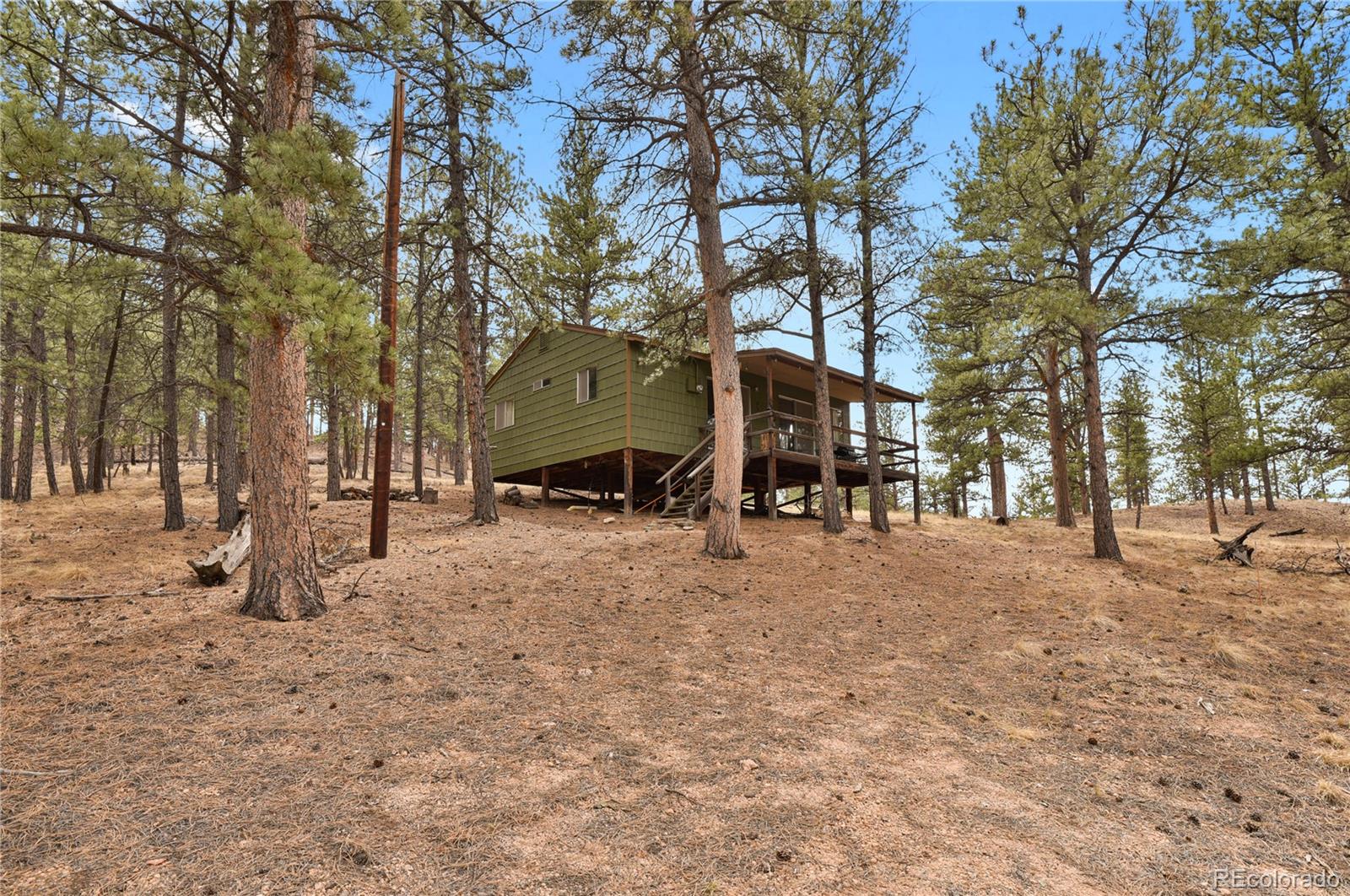 MLS Image #5 for 80  crystal lane,lake george, Colorado