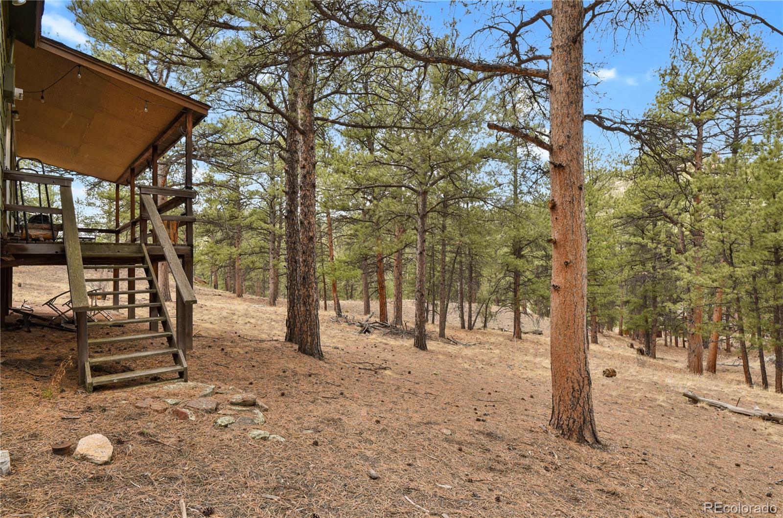 MLS Image #7 for 80  crystal lane,lake george, Colorado