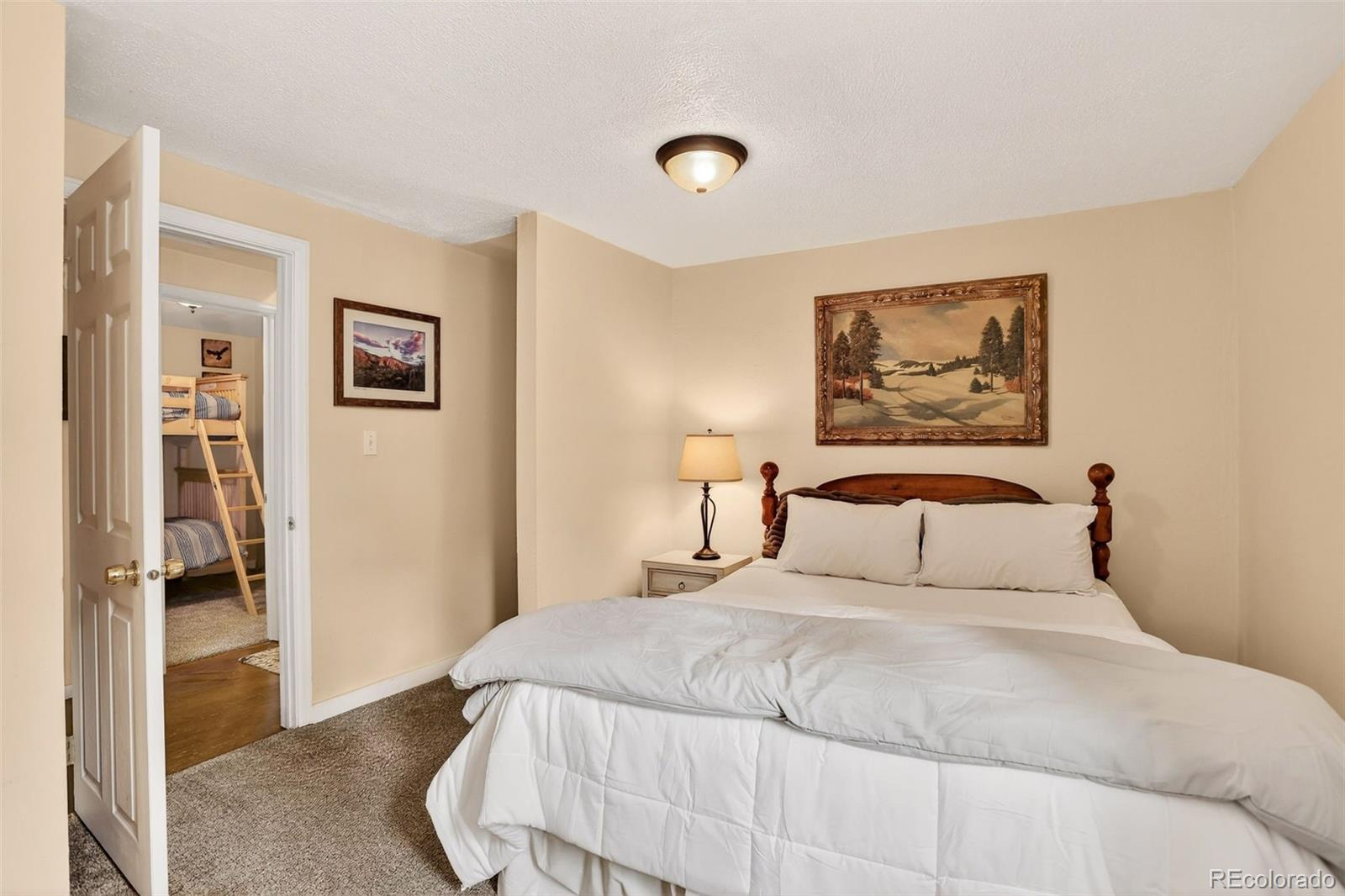 MLS Image #16 for 626  aspen lane,bailey, Colorado