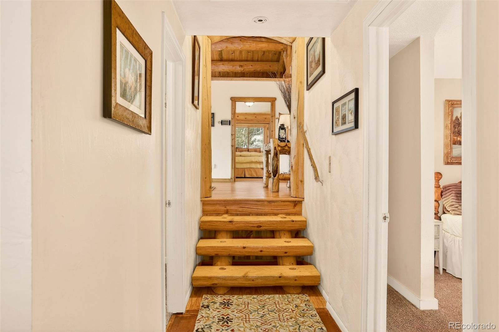MLS Image #19 for 626  aspen lane,bailey, Colorado