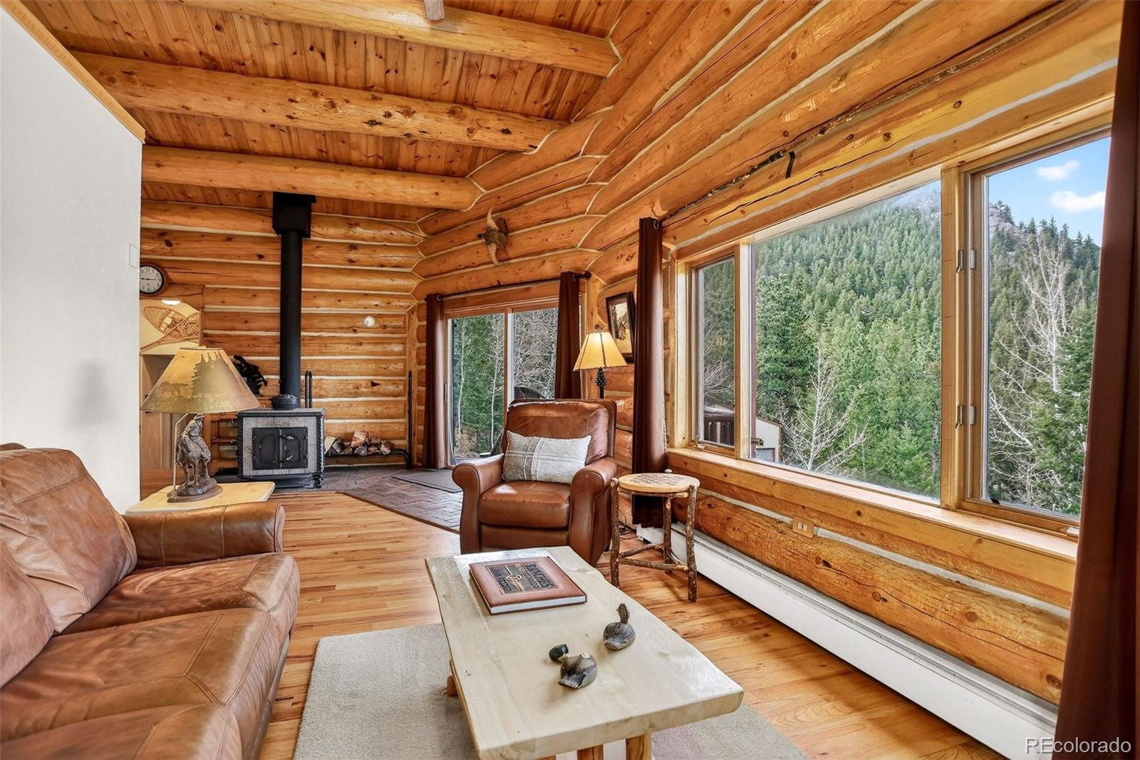 MLS Image #22 for 626  aspen lane,bailey, Colorado