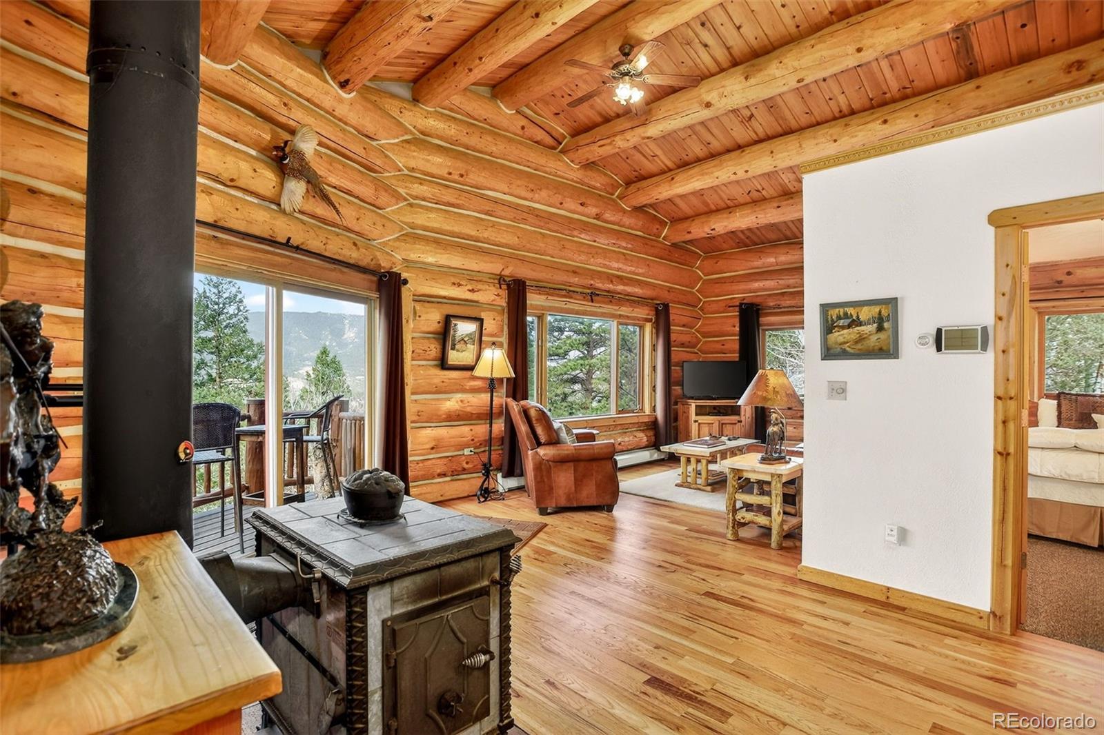MLS Image #28 for 626  aspen lane,bailey, Colorado