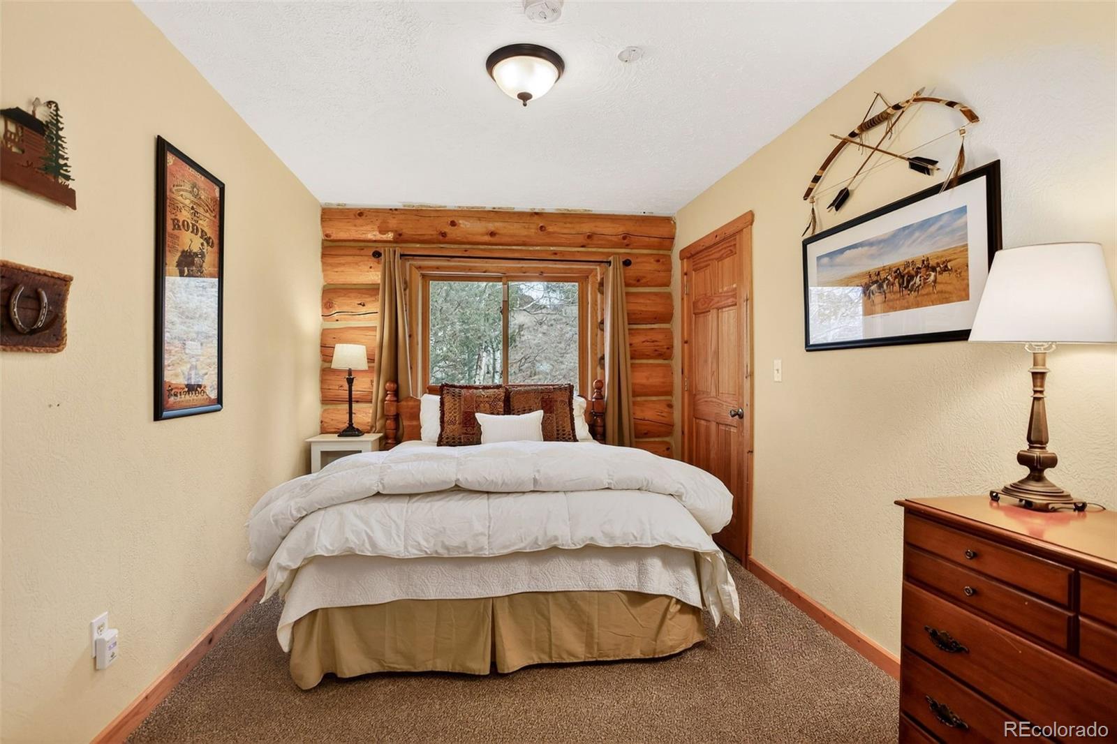 MLS Image #29 for 626  aspen lane,bailey, Colorado