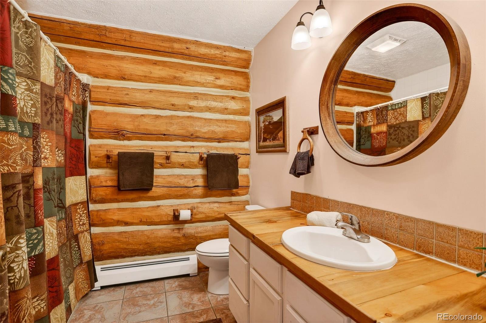 MLS Image #36 for 626  aspen lane,bailey, Colorado
