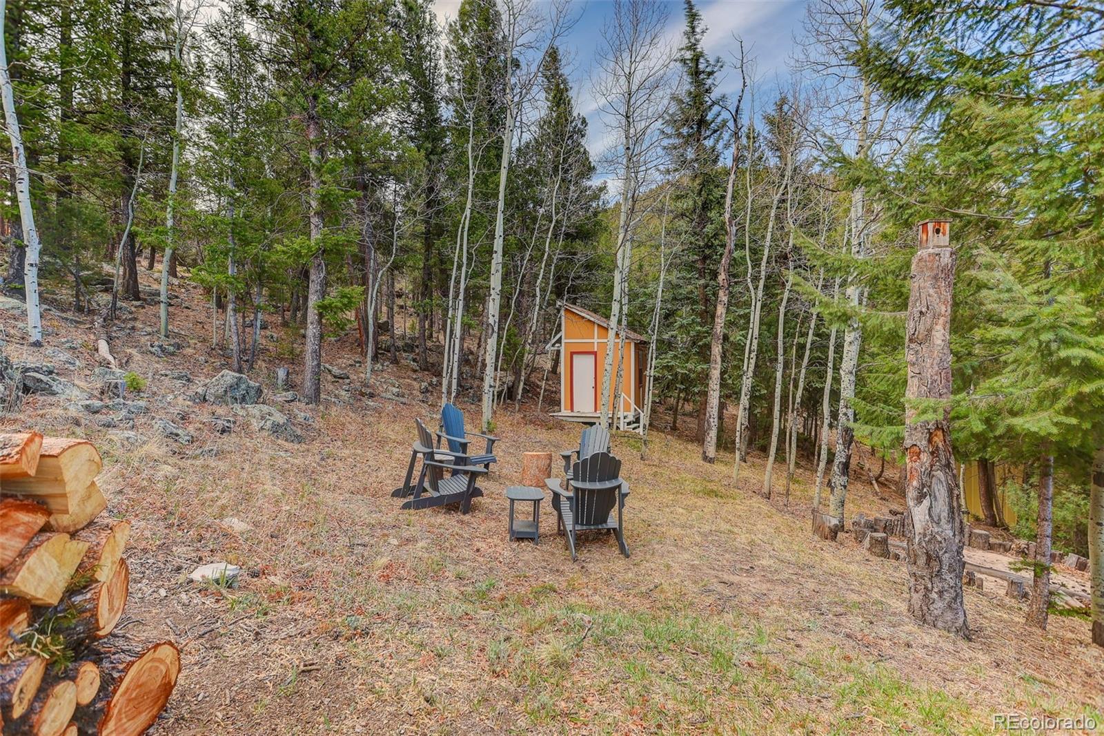 MLS Image #40 for 626  aspen lane,bailey, Colorado