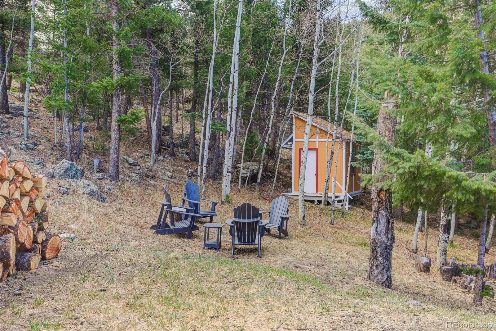 MLS Image #41 for 626  aspen lane,bailey, Colorado