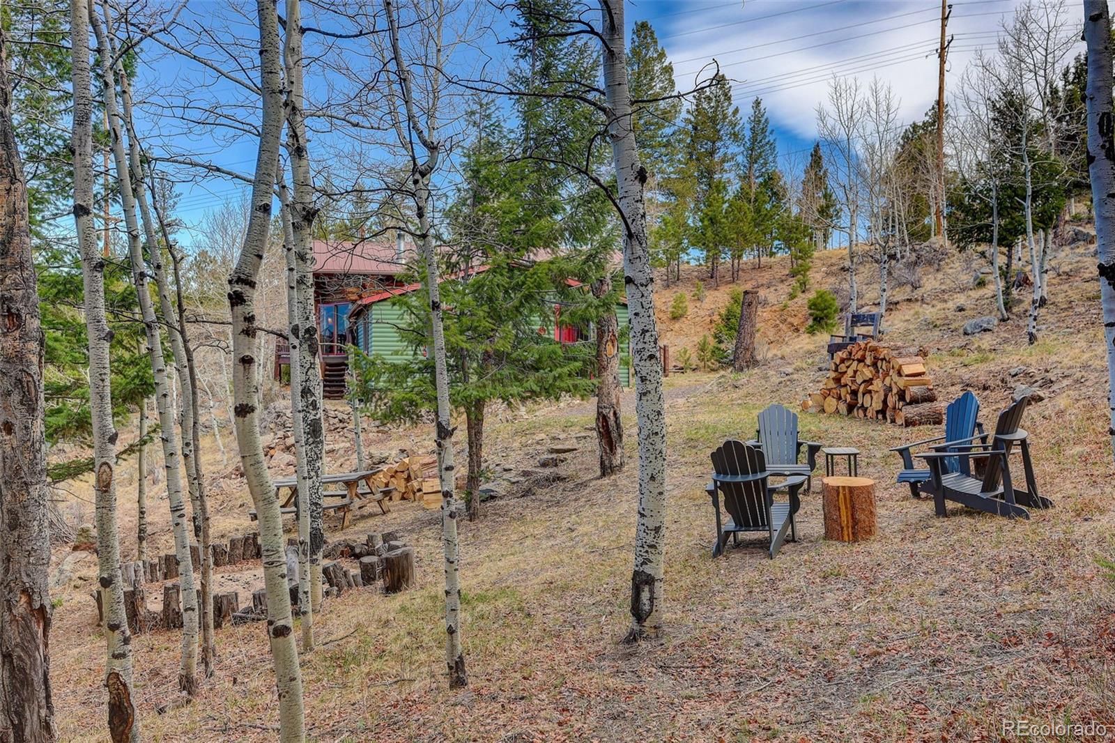 MLS Image #42 for 626  aspen lane,bailey, Colorado