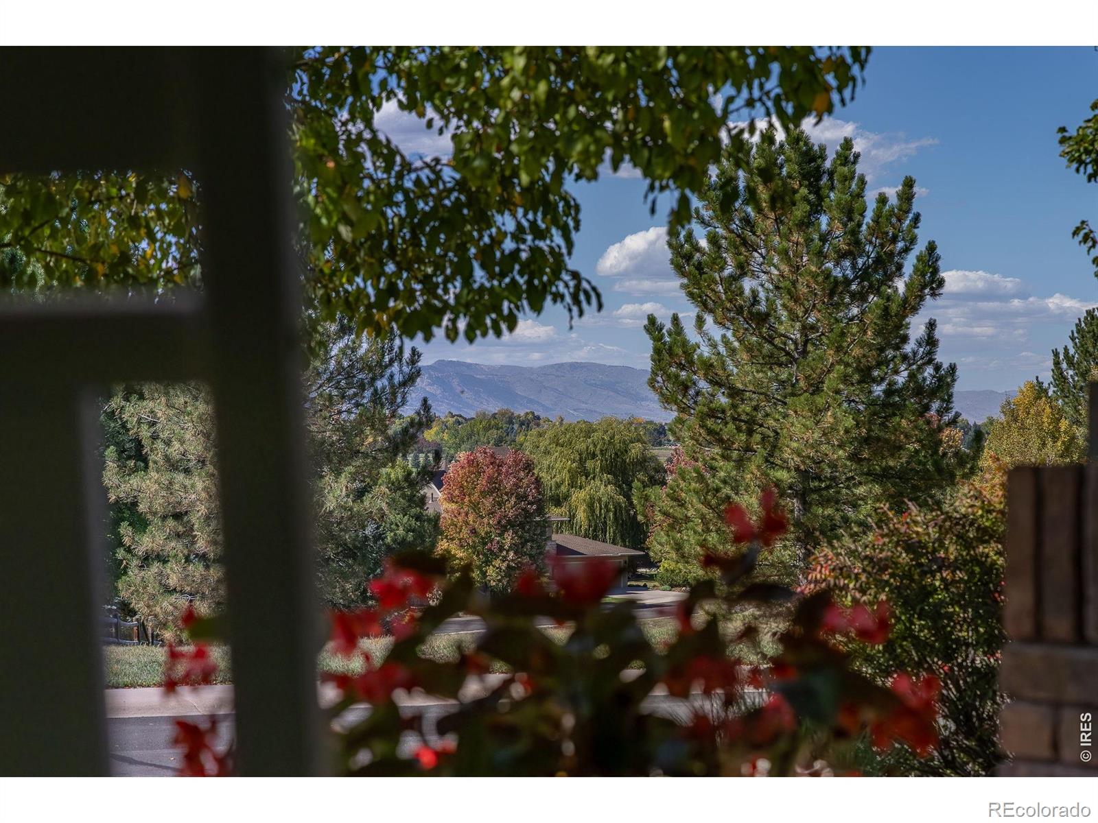 MLS Image #45 for 1577  bison run drive,windsor, Colorado