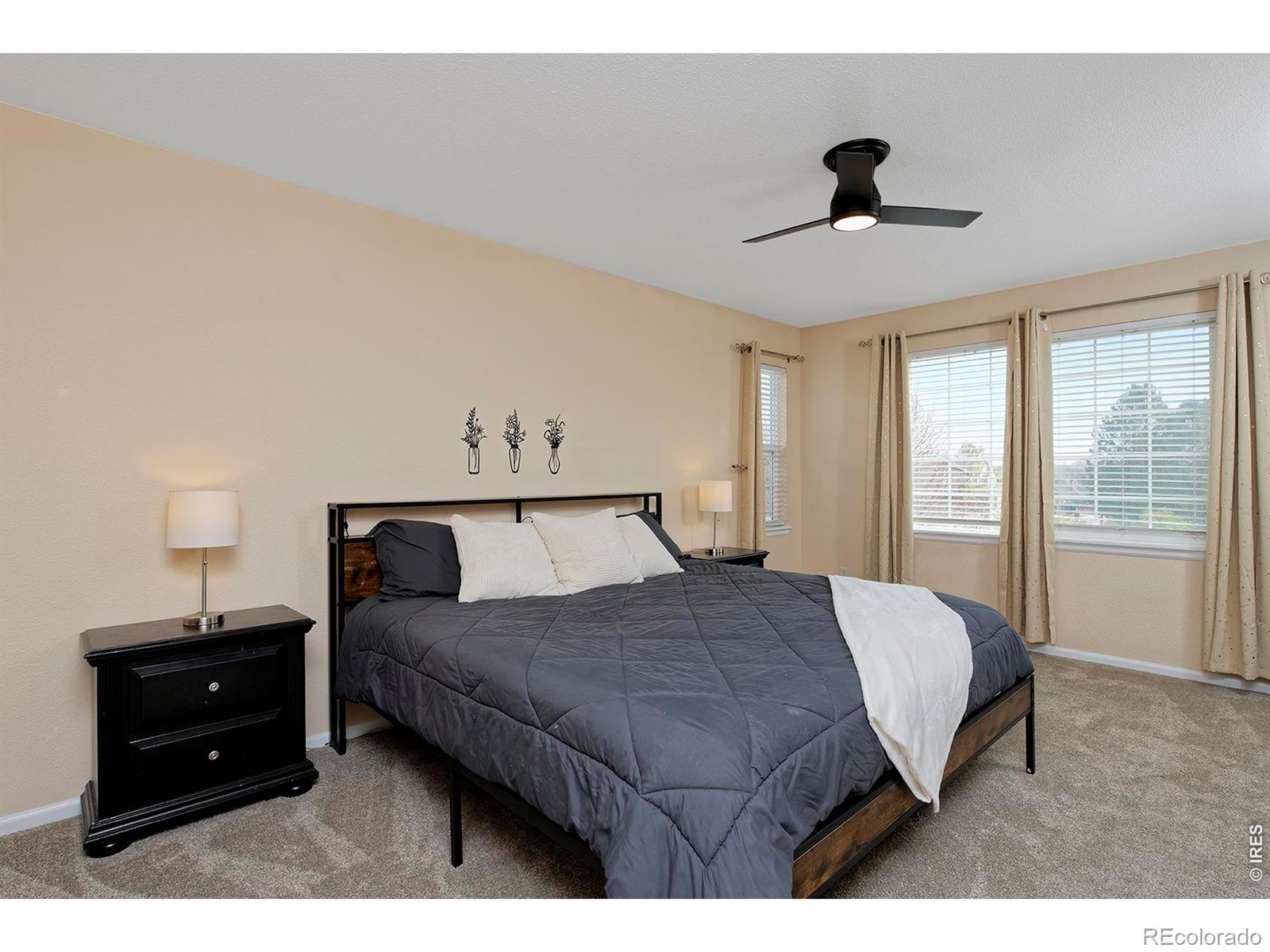 MLS Image #18 for 1209  button rock drive,longmont, Colorado