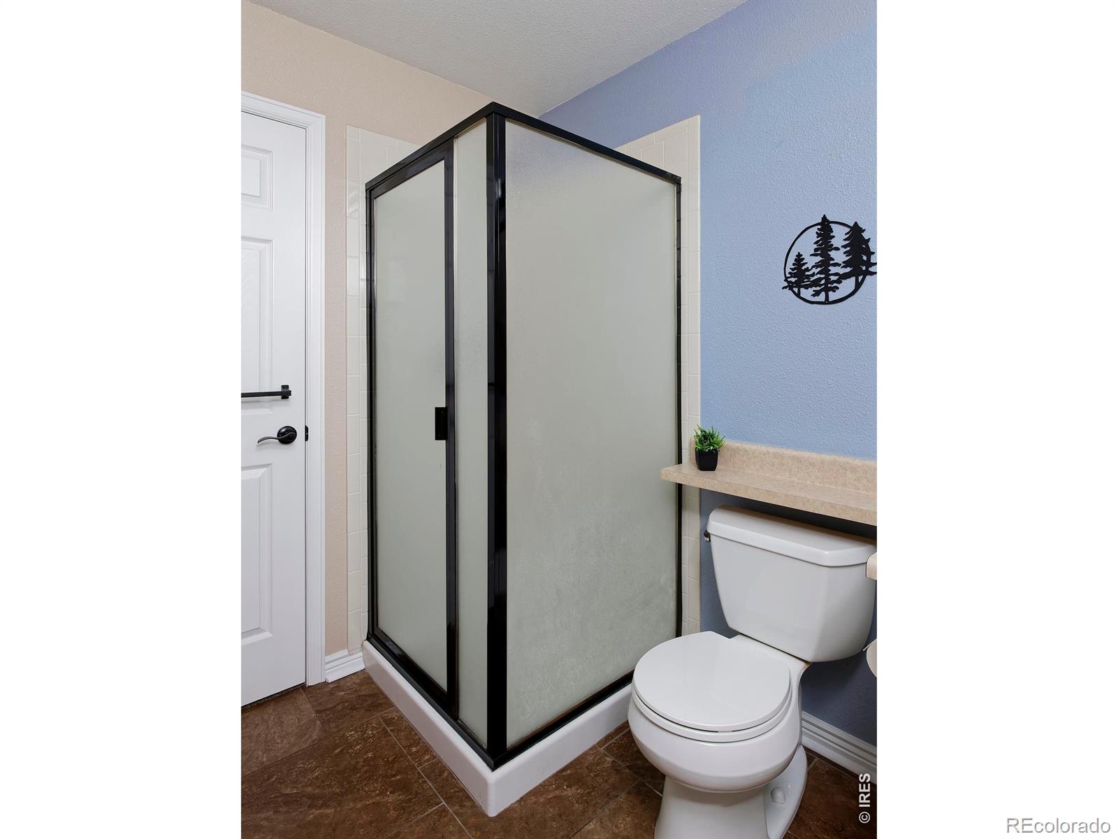 MLS Image #21 for 1209  button rock drive,longmont, Colorado