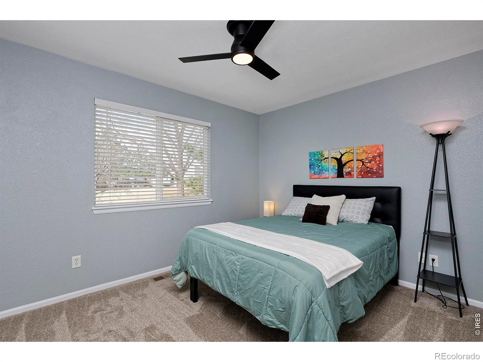 MLS Image #30 for 1209  button rock drive,longmont, Colorado